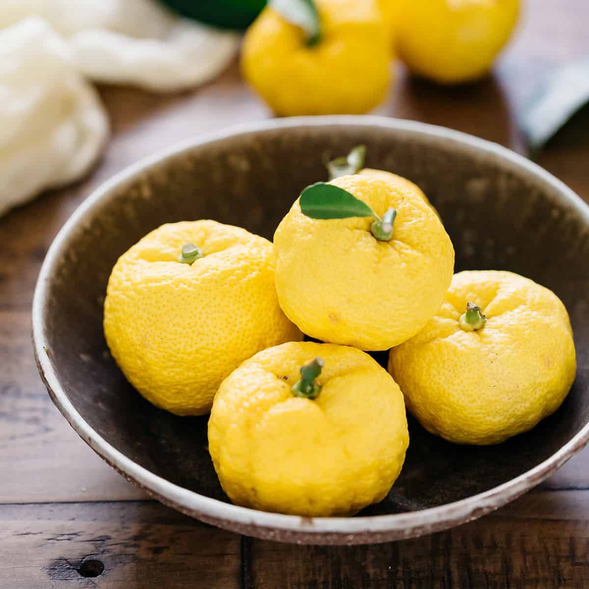 Citrus Hybride Juno Yuzu